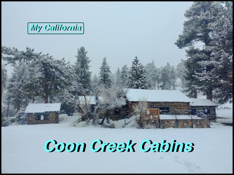 Coon cabin cover.jpg