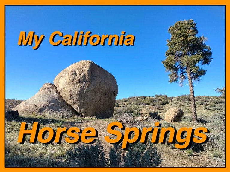 HorseSprings cover.jpg