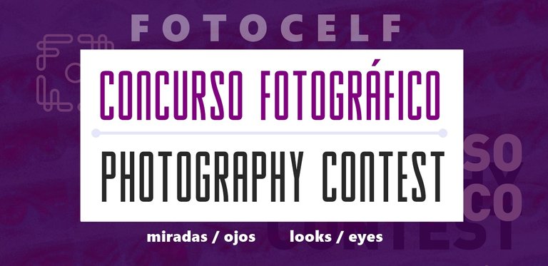 CONCURSO FOTOGRAFICO CONTEST.jpg