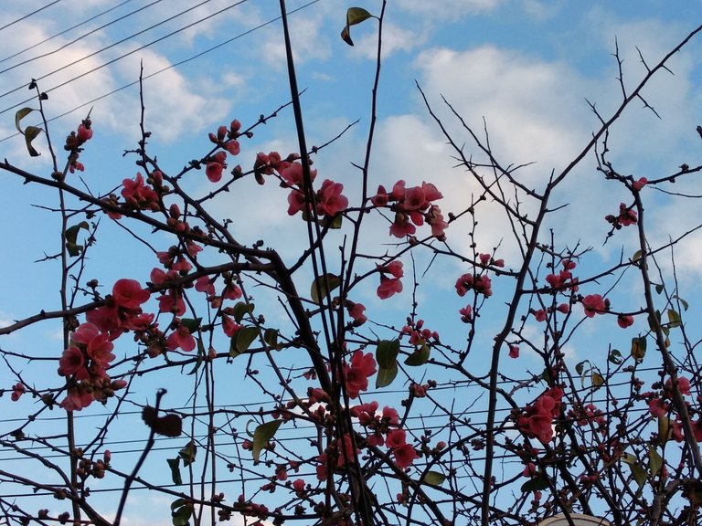 IMG_20221228_153158.jpg