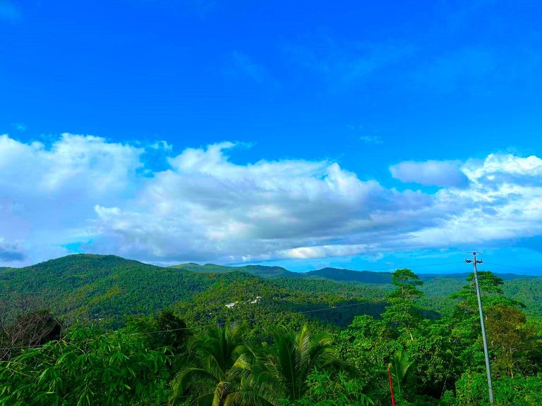 a1226cf8-85f2-476a-b497-cda11b586e30.jpeg