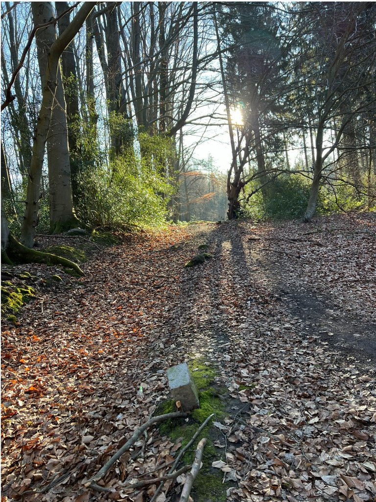 The old path at the border between Germany and Belgium.JPEG