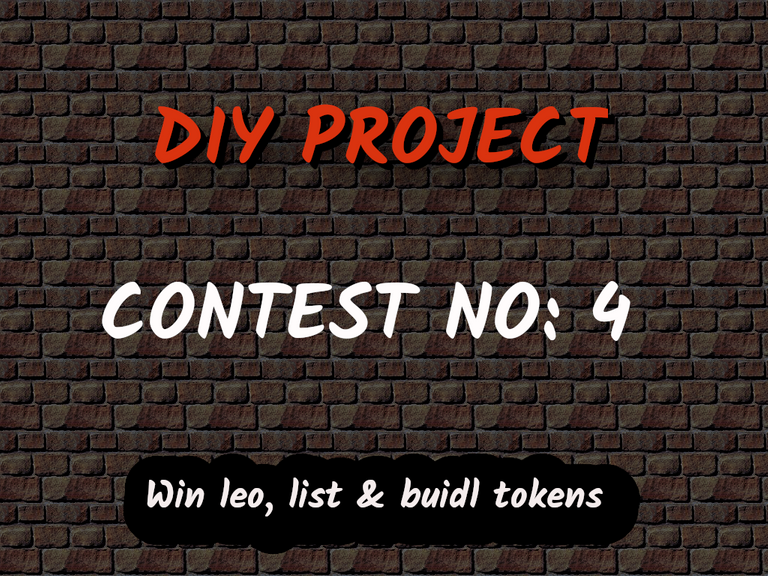 DIY Contest4.png