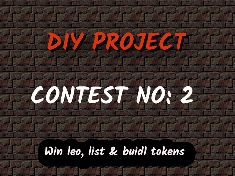 DIY Contest2.png