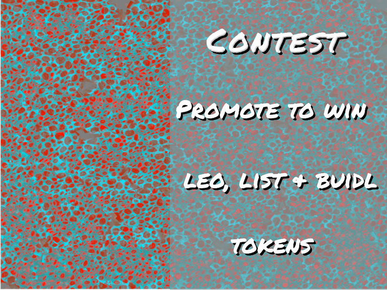 ContestDomain1.png