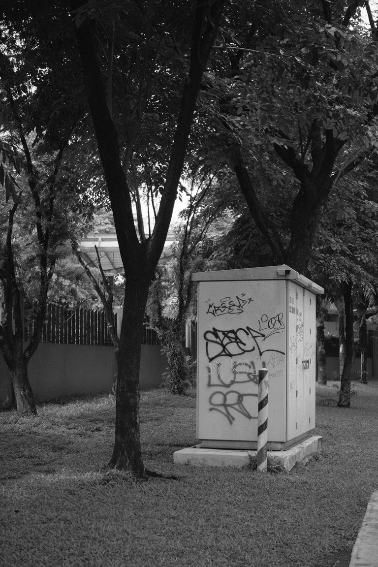 DSCF0672.JPG
