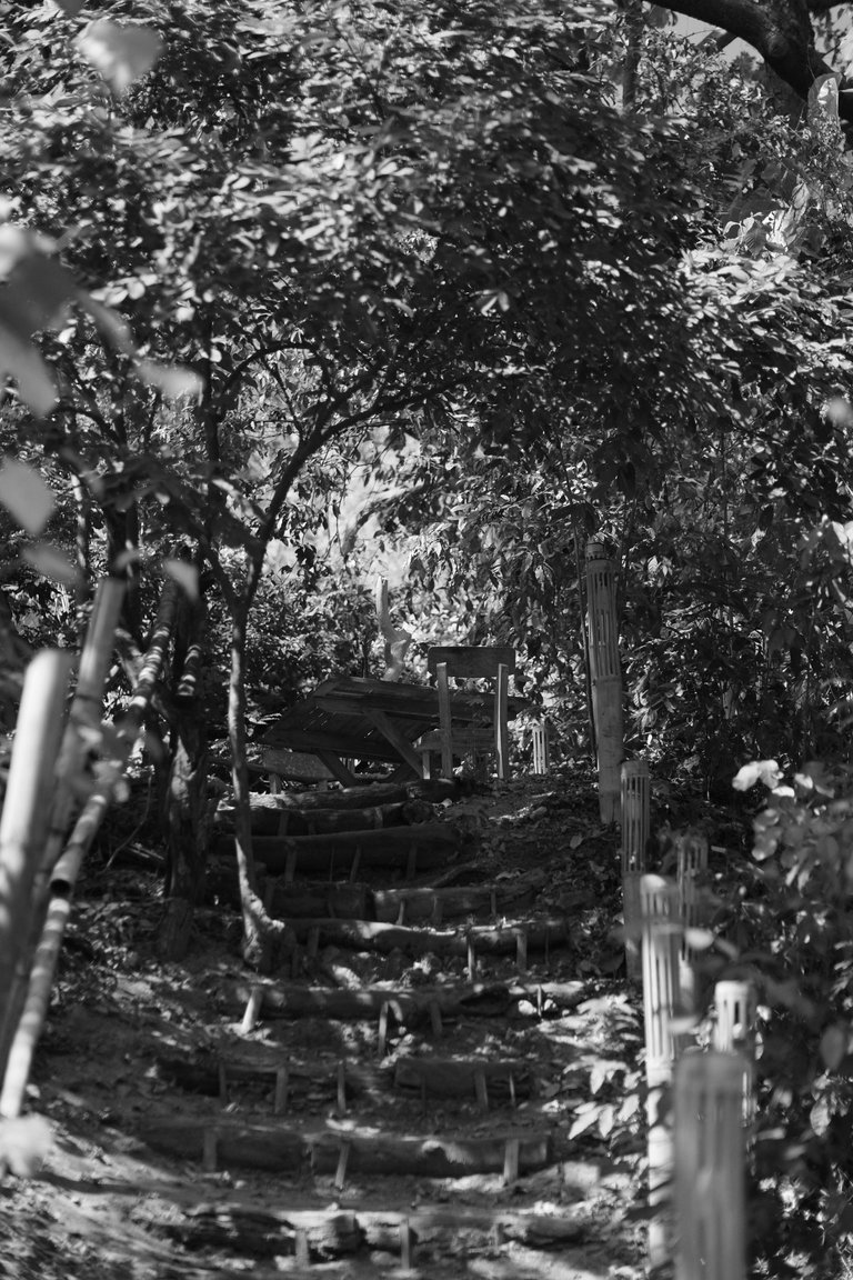 DSCF1577.JPG