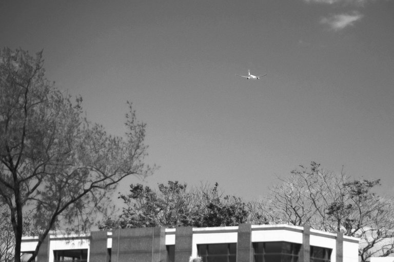 DSCF2972.JPG