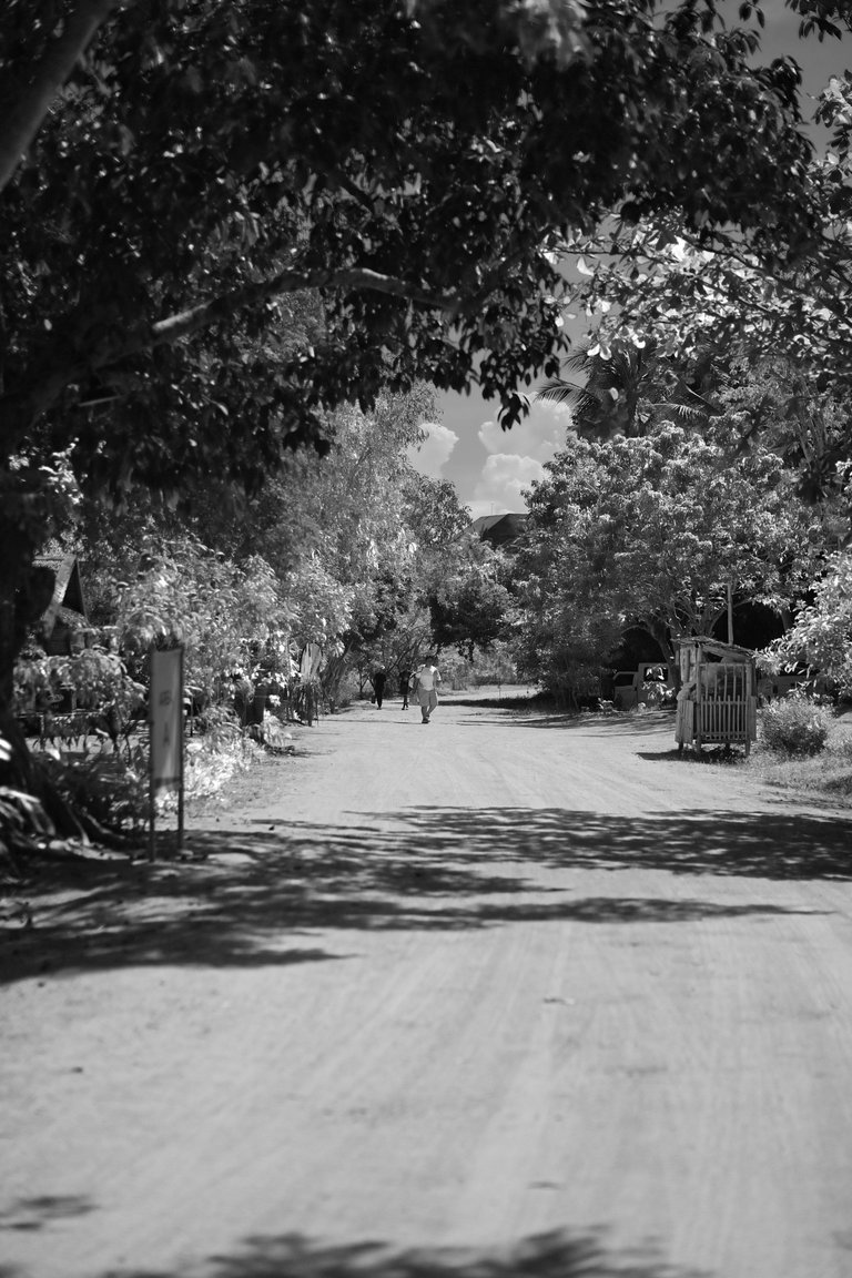 DSCF1574.JPG