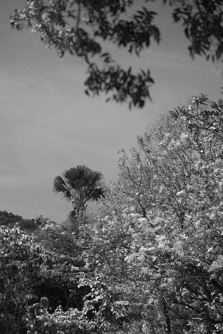 DSCF1588 (1).jpg