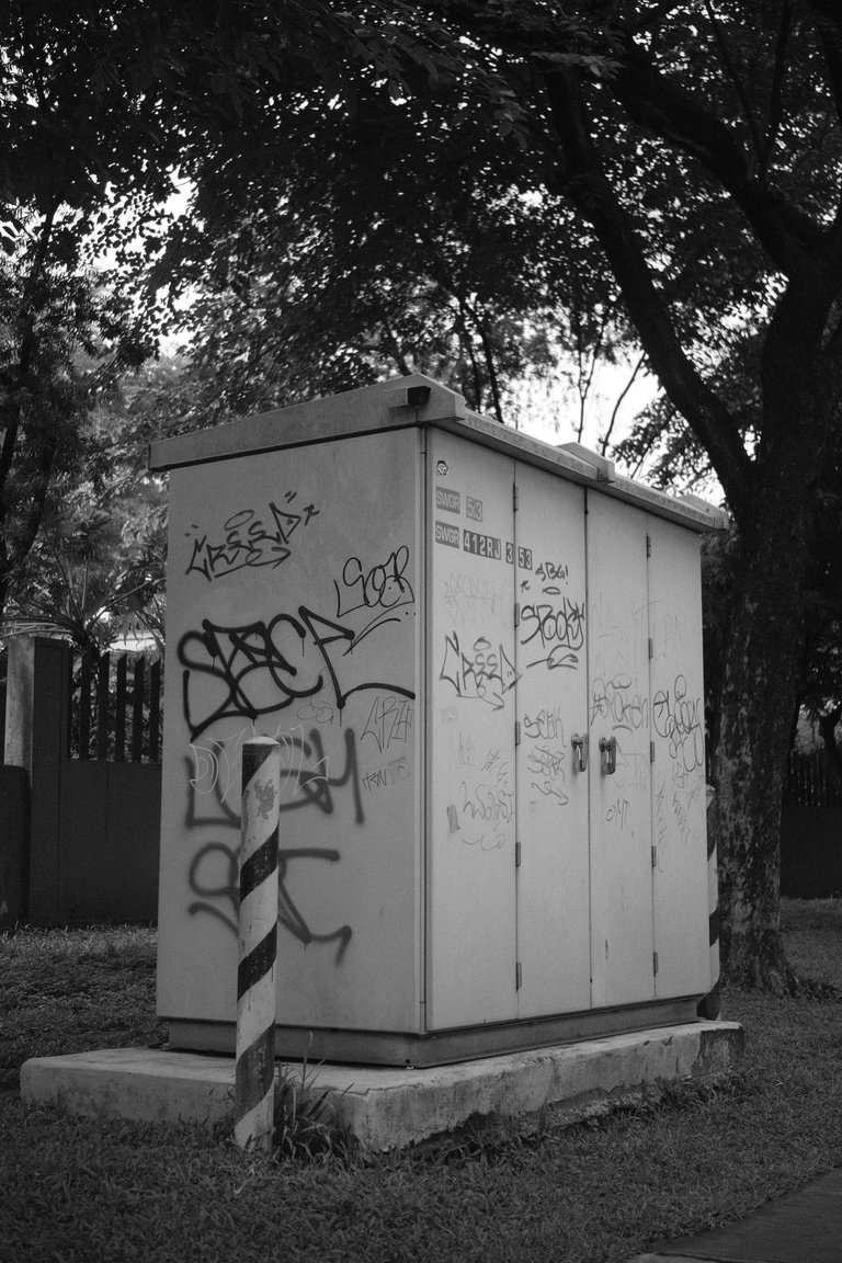 DSCF0675.JPG