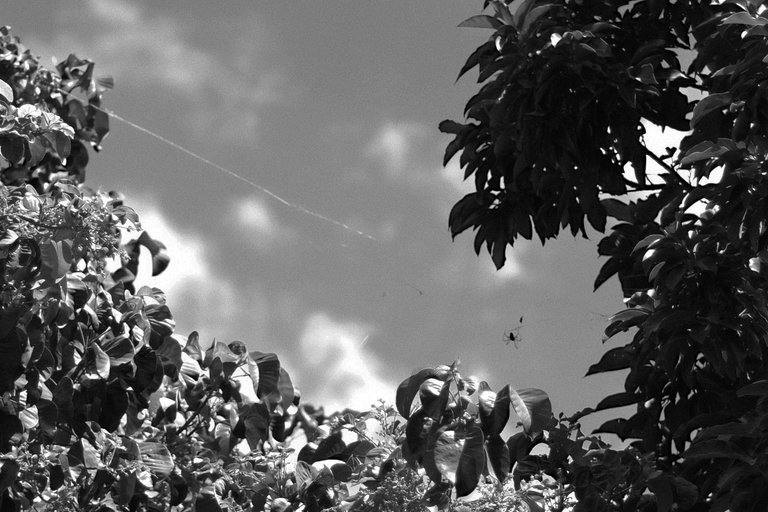 DSCF2964.JPG