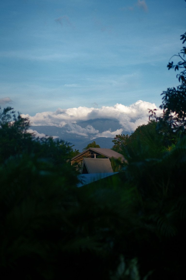 DSCF0287.JPG