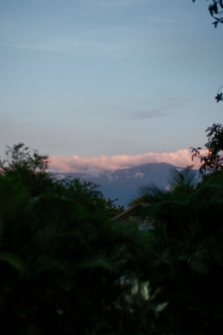DSCF0320.JPG