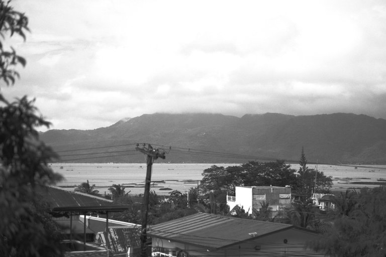 DSCF9378.JPG