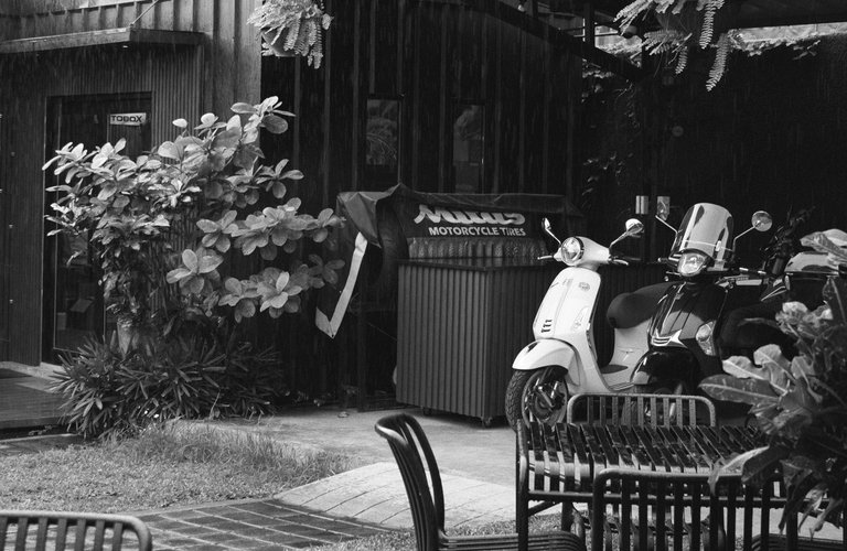 DSCF16655.jpg