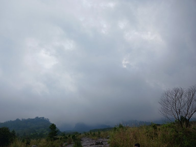 20250617_135539.jpg