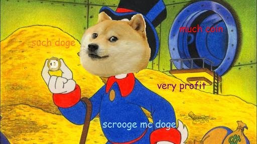 doge meme.jpeg