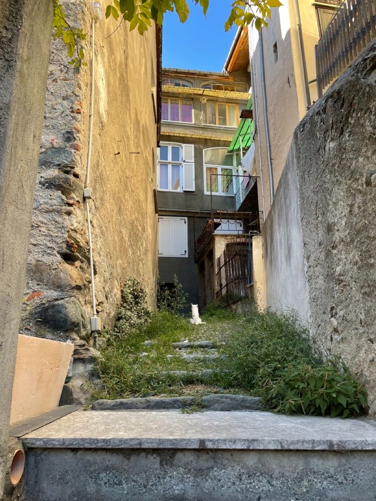 IMG_6795 Grande.jpeg