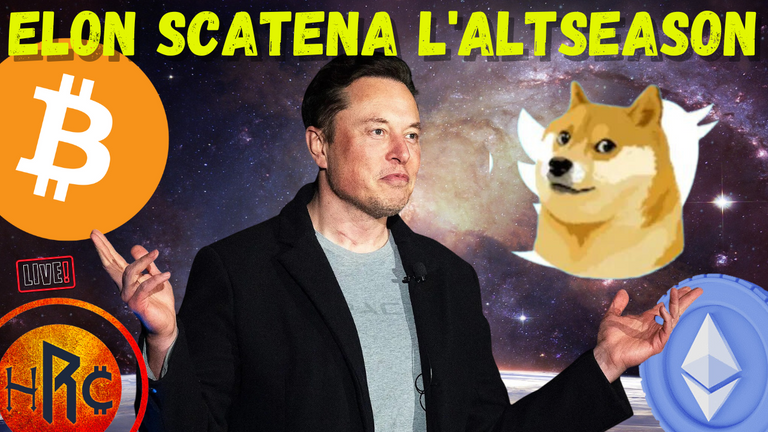 elon scatena l'altseason.png