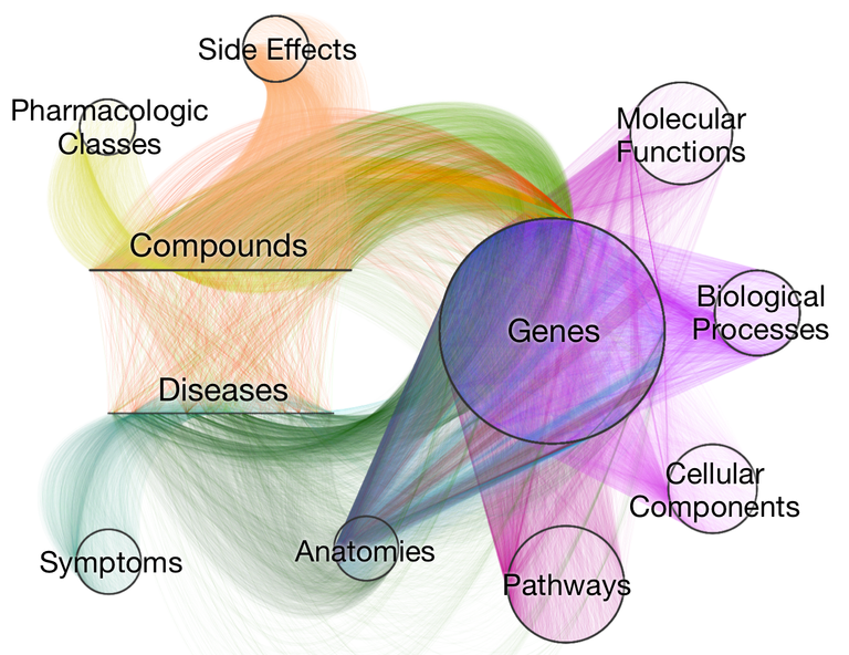 Visualization of Hetionet: a network that condenses decades of biomedical research into 11 node types and 24 edge types. Learn more at https://het.io