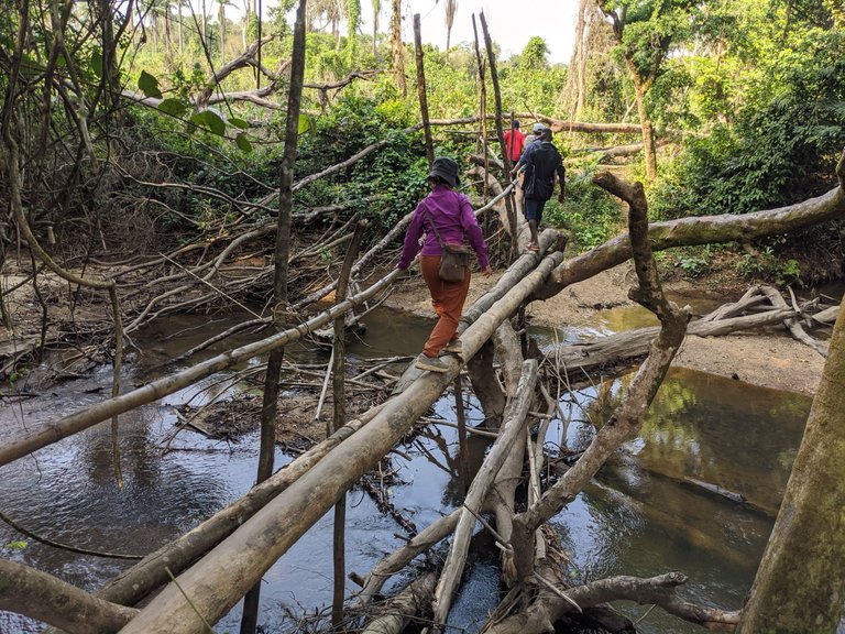 Crossing the river on the way to the farm