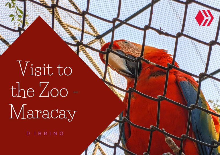 Visit to the Zoo - Maracay.jpg