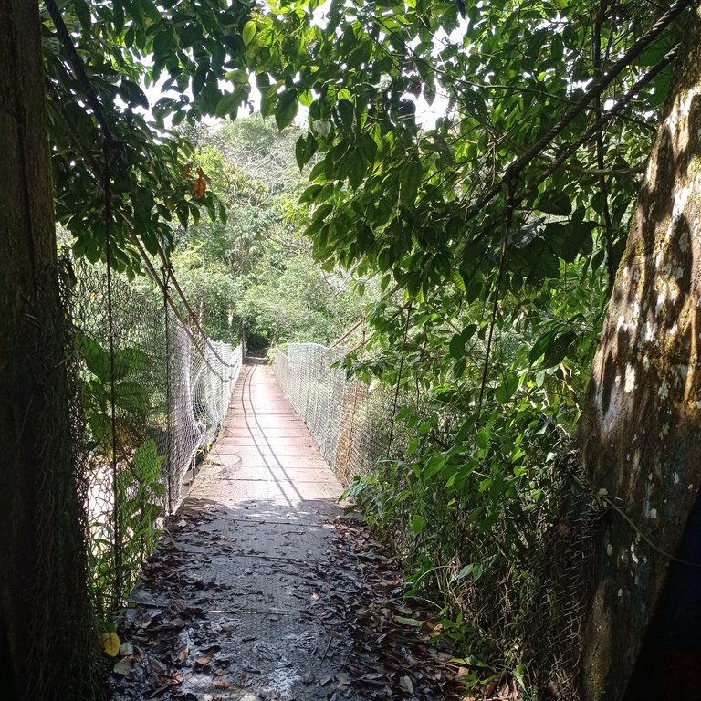 Suspension bridge in the Dantayaco trail - Puente colgante en vereda Dantayaco