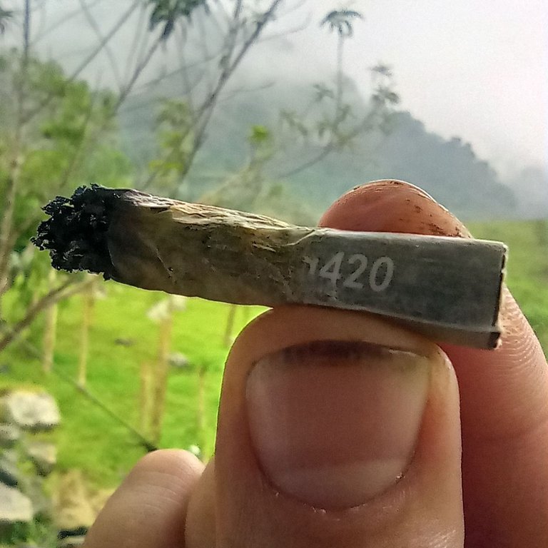 Porro 420 - 420 Joint