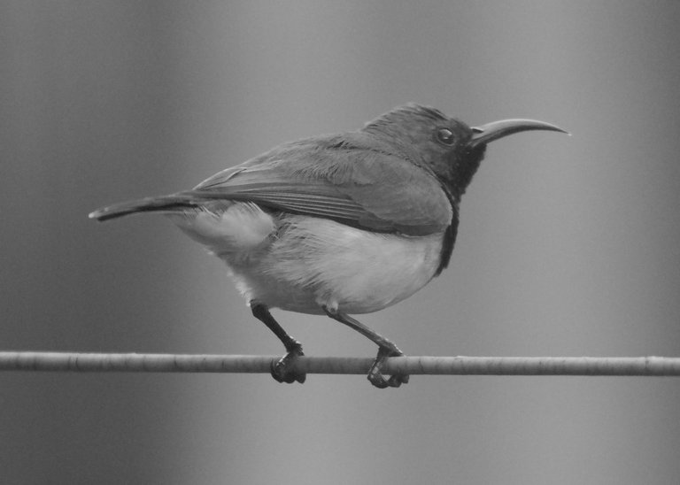 DSC_7735.jpg