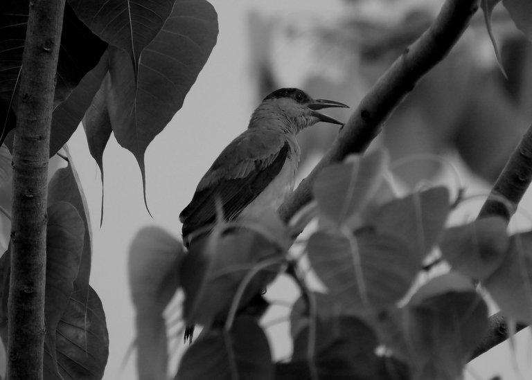DSC_1673_01.jpg