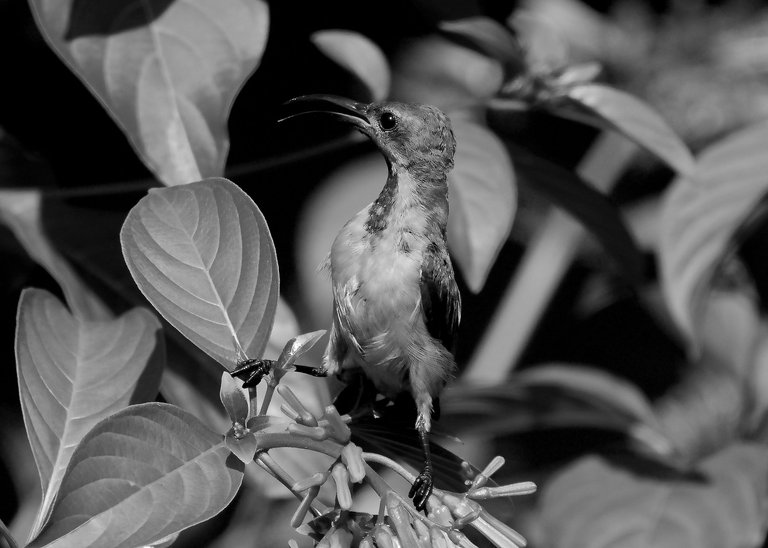 DSC_0174.jpg