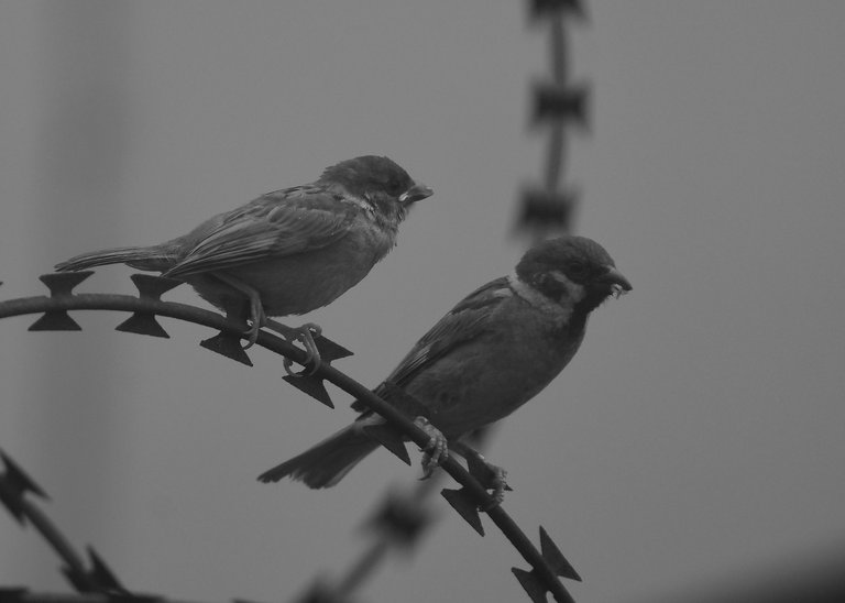 DSC_3891_01.jpg