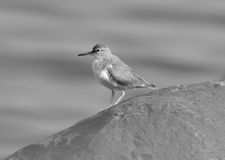 DSC_8766.jpg