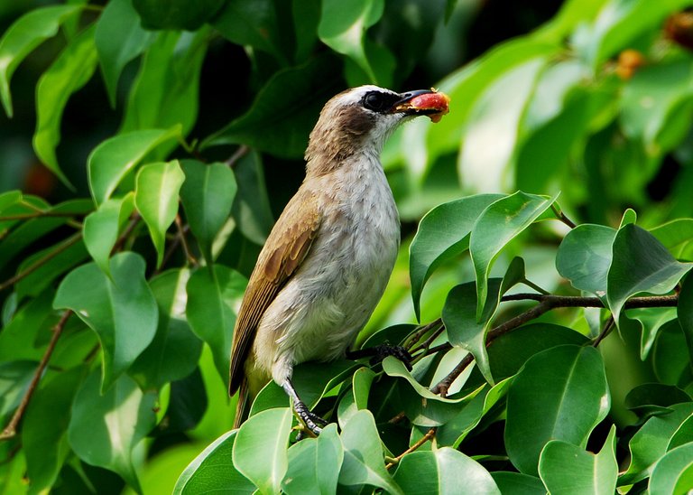 DSC_5731.jpg