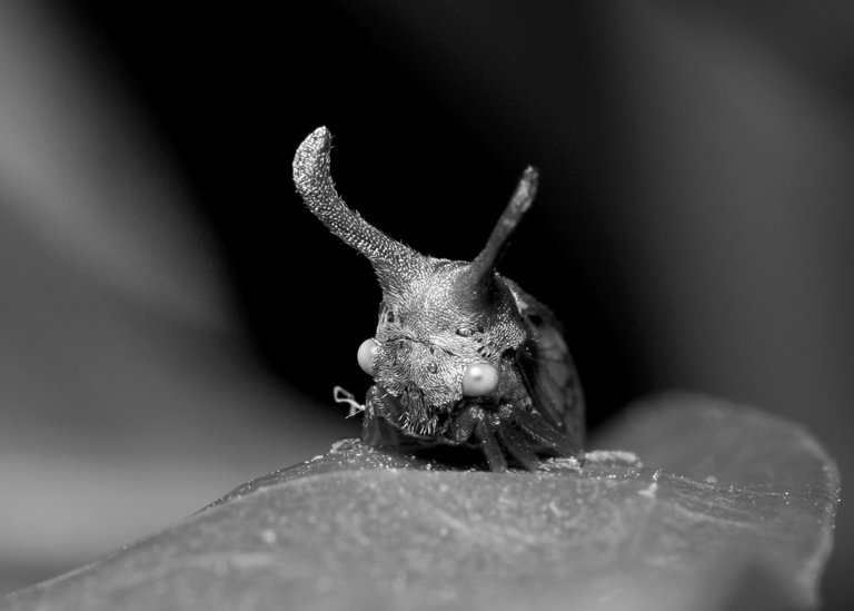 DSC_9646x.jpg