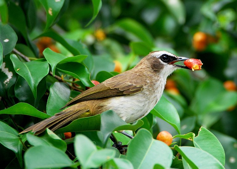 DSC_5802.jpg