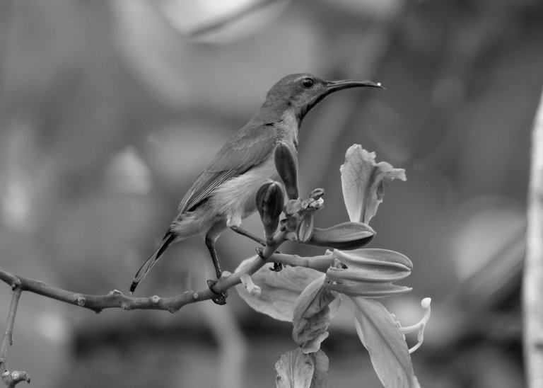 DSC_1172.jpg