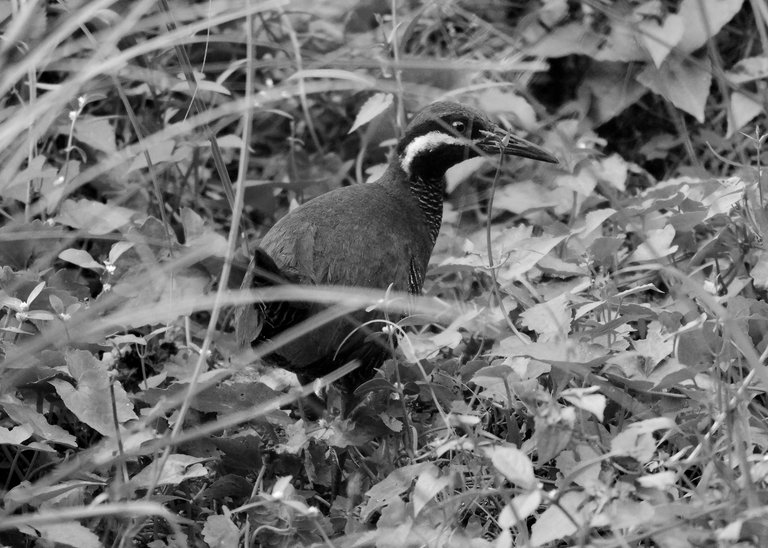 DSC_9847.jpg