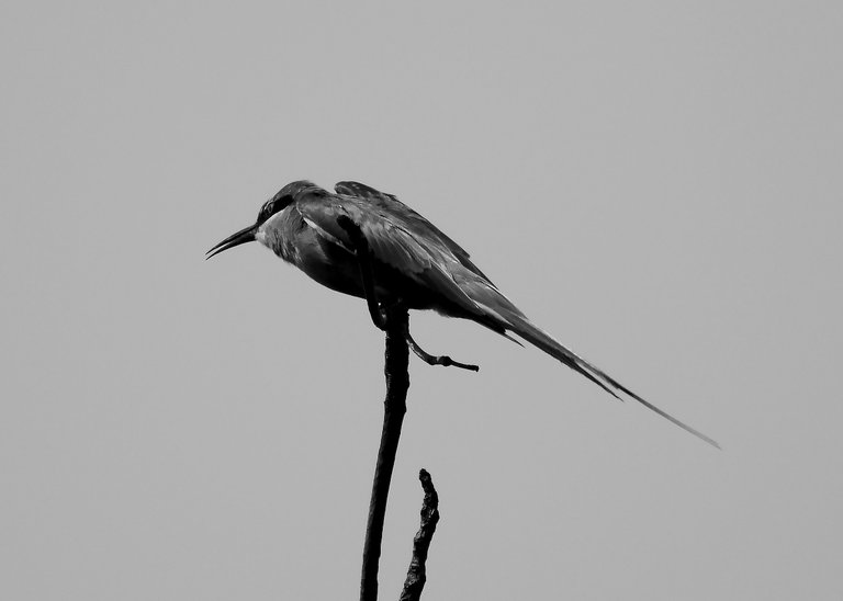DSC_6770.jpg