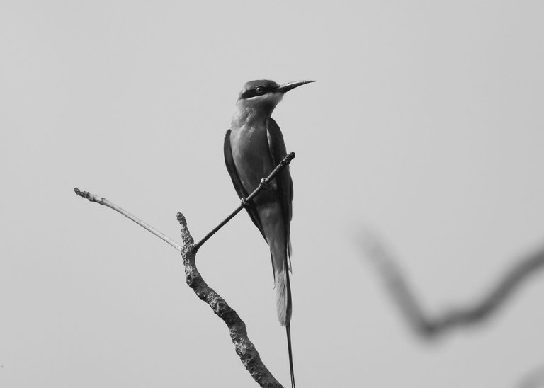 DSC_6843.jpg