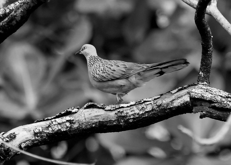 DSC_5893.jpg
