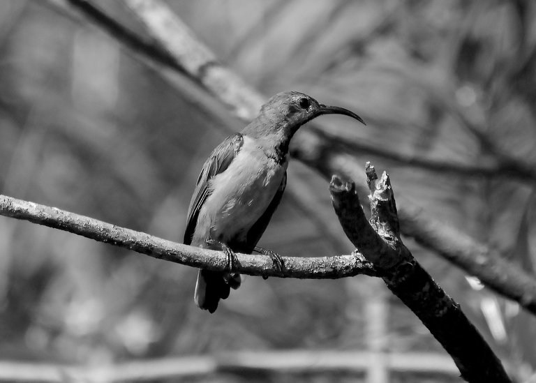 DSC_9973.jpg