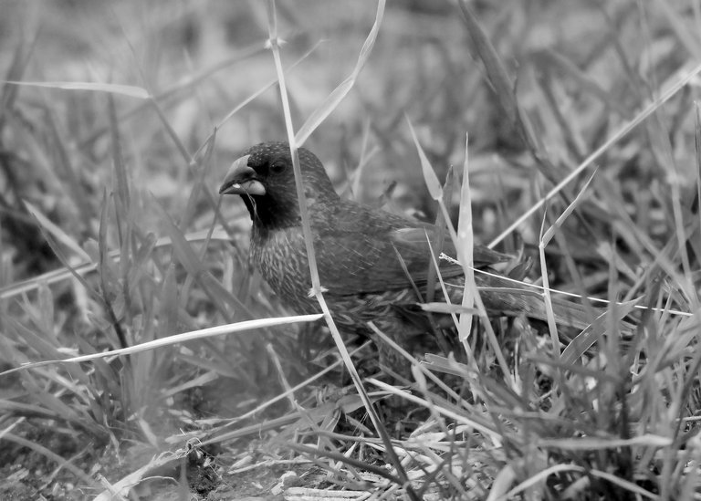 DSC_1834.jpg