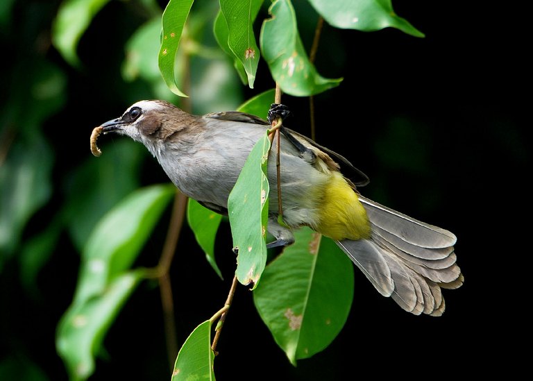 DSC_5744.jpg