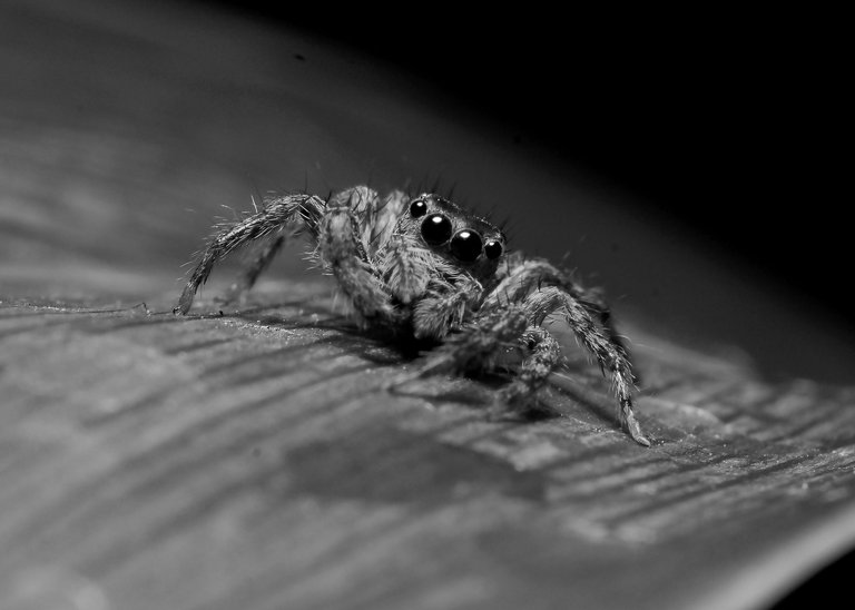 DSC_5196.jpg