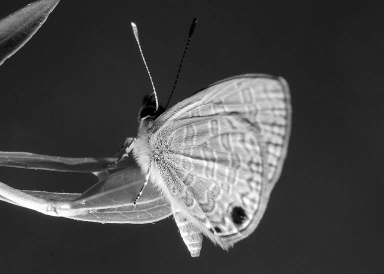 DSC_9873.jpg
