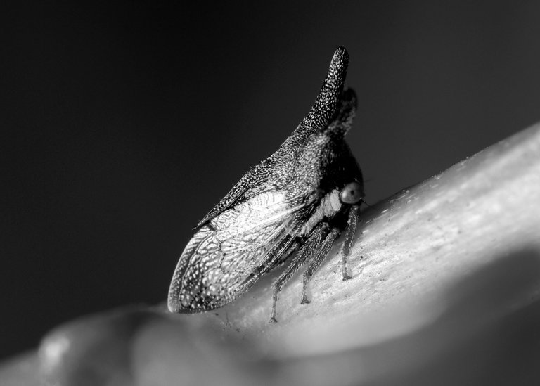 DSC_9548.jpg