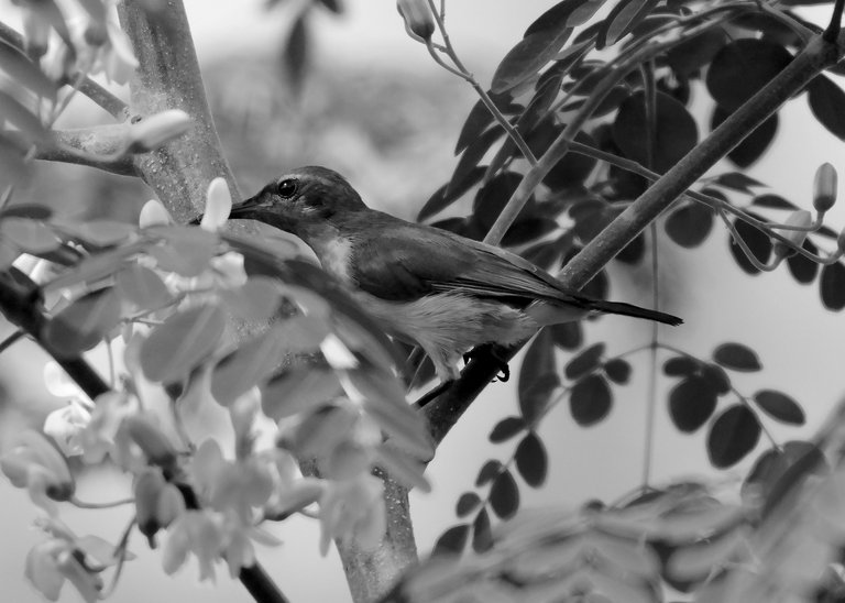 DSC_3591.jpg