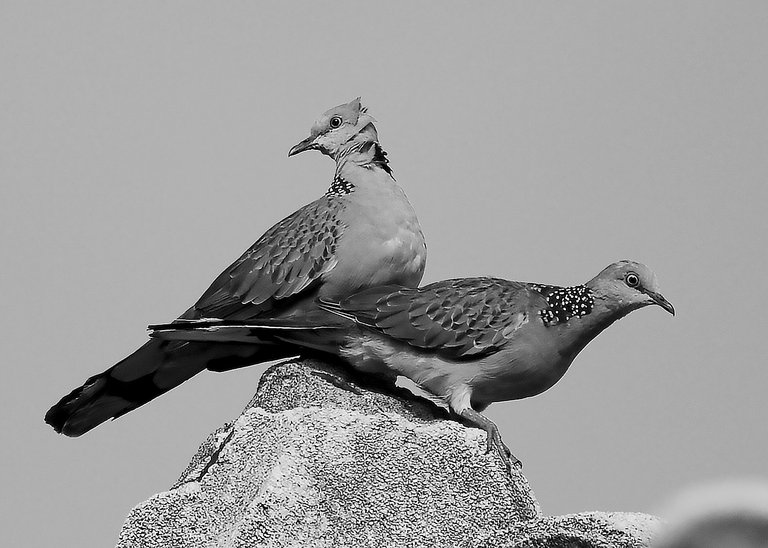 DSC_8840.jpg